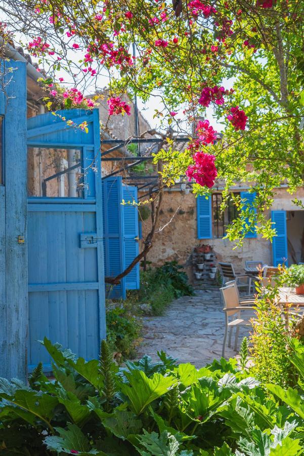Вилла Sa Casa Rotja Синеу Экстерьер фото