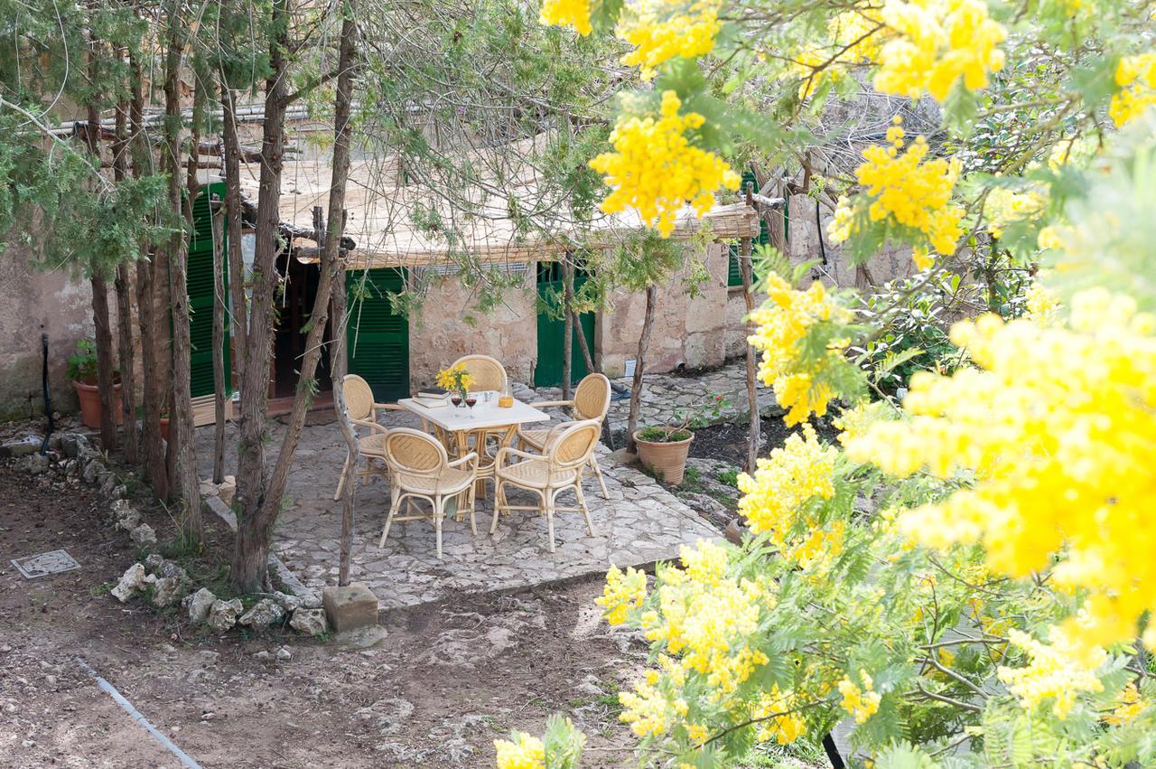 Вилла Sa Casa Rotja Синеу Экстерьер фото